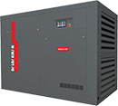EAGLE 220
