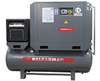 INVERSYS 11 PLUS
